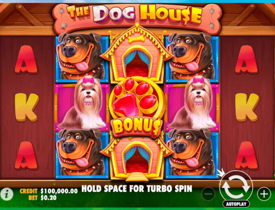 big bonus